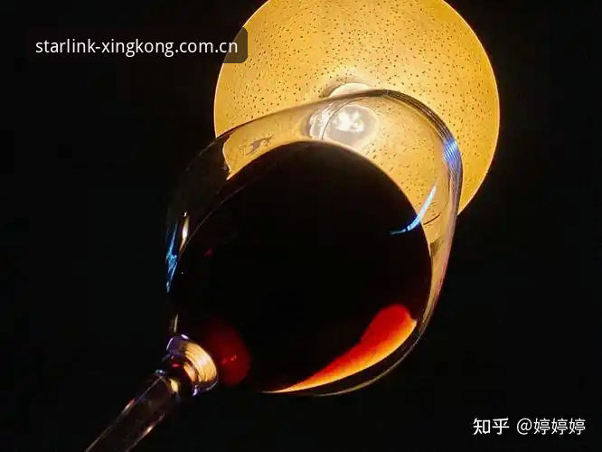 梅里诺伤愈回归，如何从旁观者到欧冠决赛主力？星空体育用户婷婷深度解析