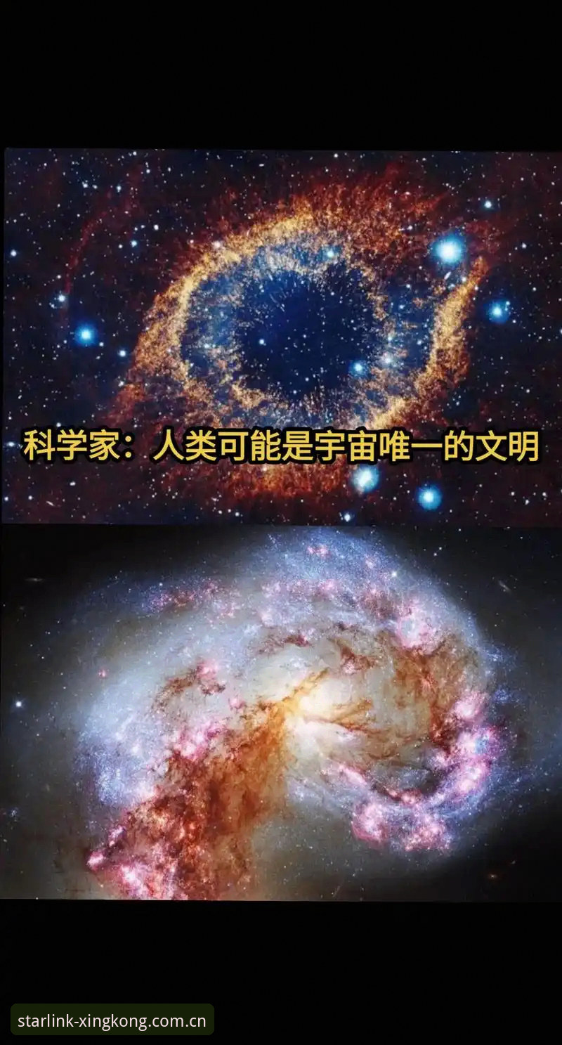 星空体育平台资深用户分享：星空APP怎么登录？手把手教你2025新版使用全攻略